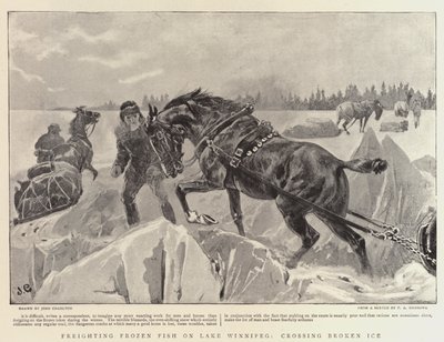 Freighting Frozen Fish on Lake Winnipeg, Crossing Broken Ice by John Charlton